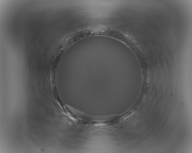 X0000066971445200603241158