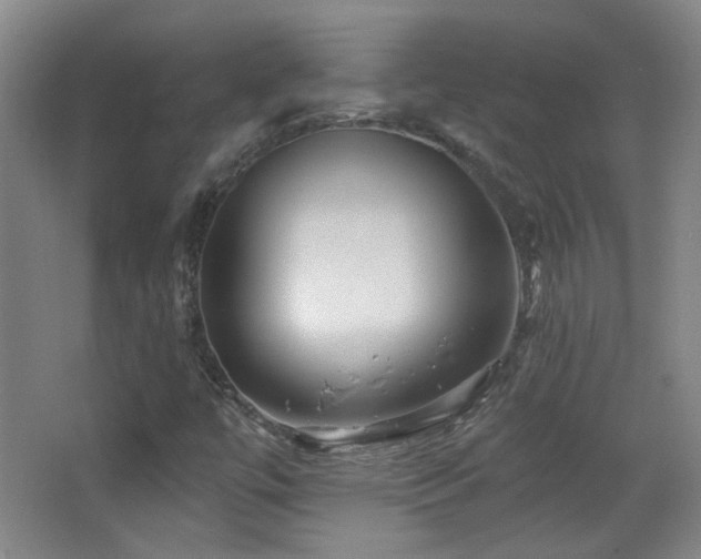 X0000066971447200603241158
