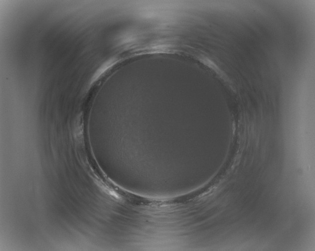 X0000066971450200603241158