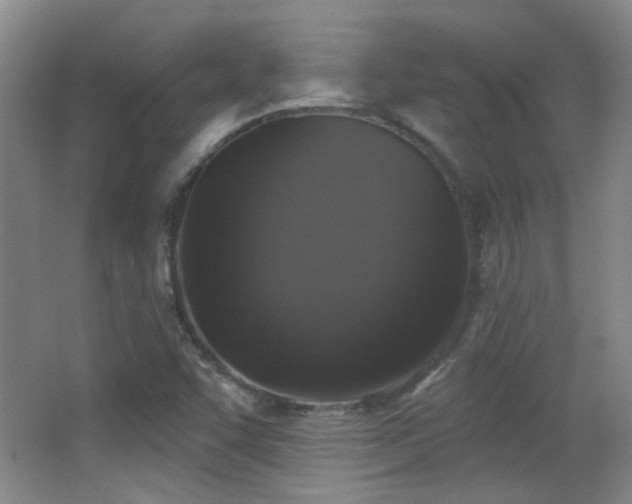 X0000066971455200603241158