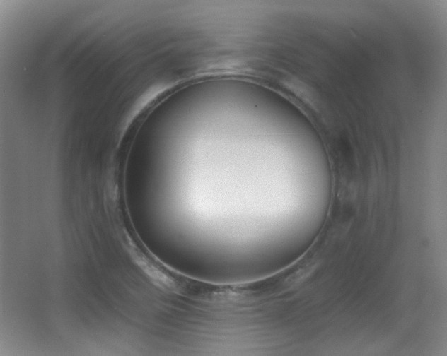 X0000066971458200603241158