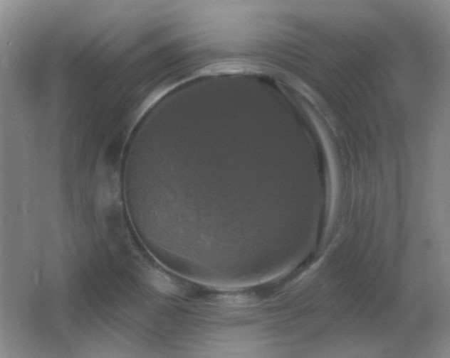 X0000066971465200603241158