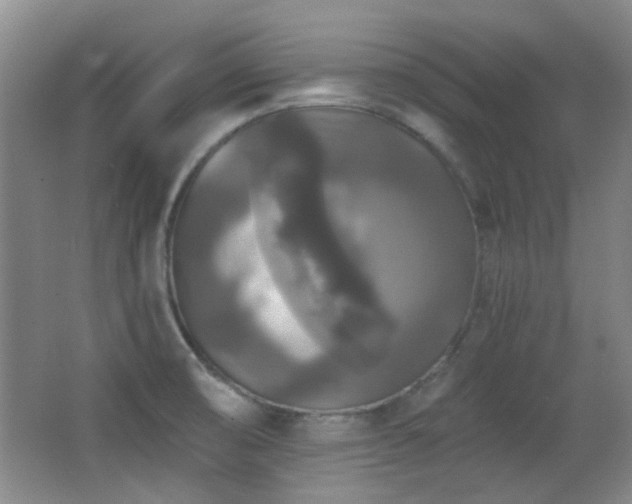 X0000066971474200603241157