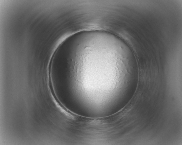 X0000066971479200603241157