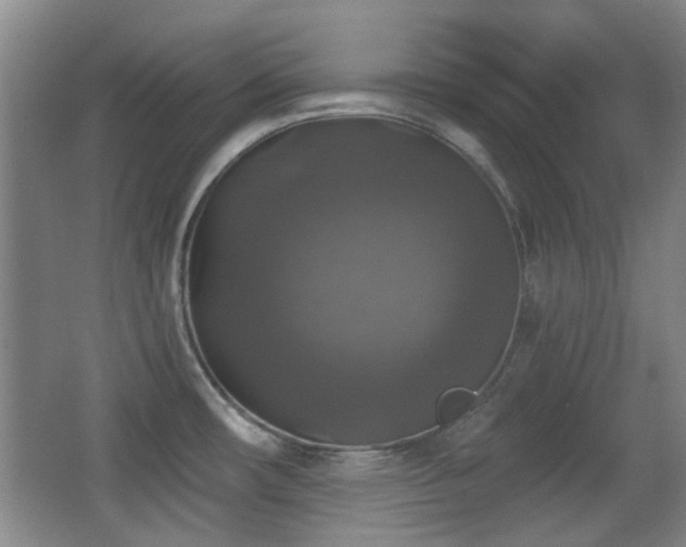 X0000066971482200603241157