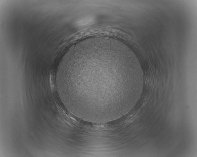 X0000066971490200603241156