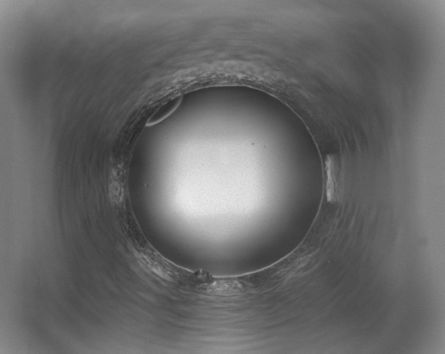 X0000066971491200603241156