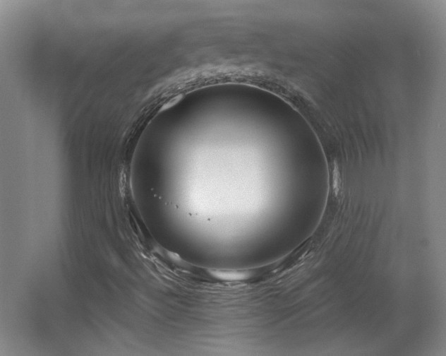 X0000066971492200603241156