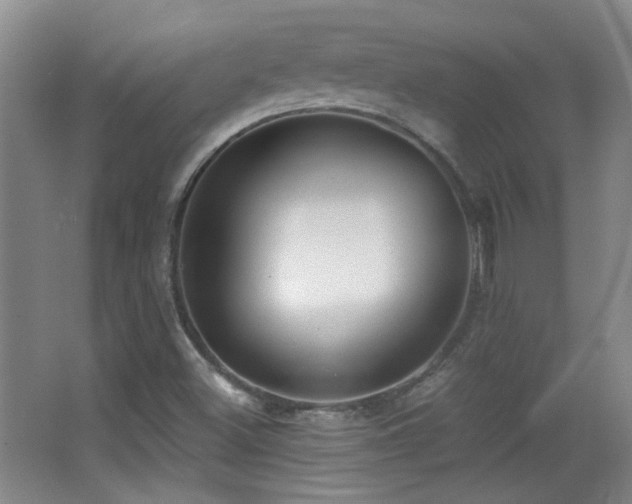 X0000066971500200603241157