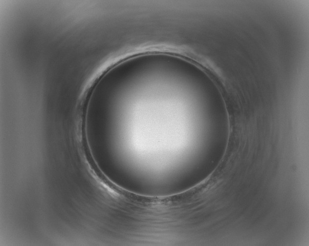 X0000066971504200603241157