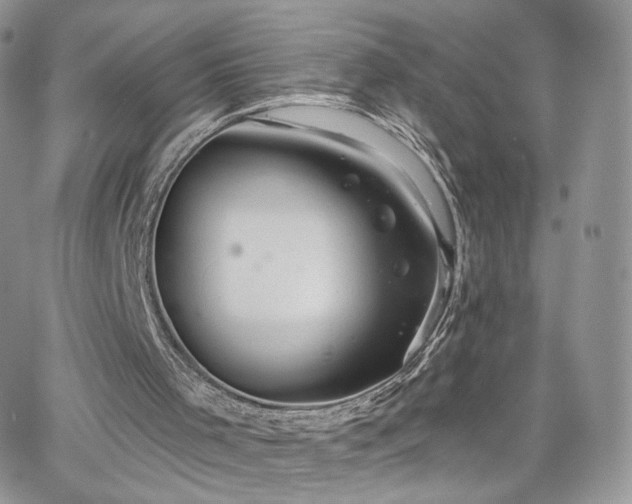 X0000066970001200603271220