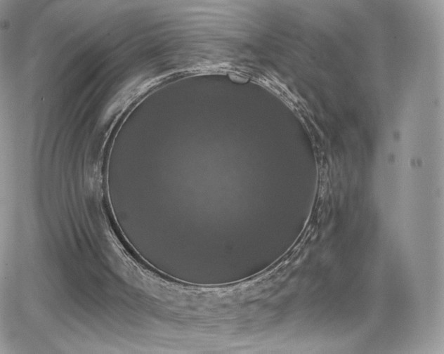 X0000066970002200603271220