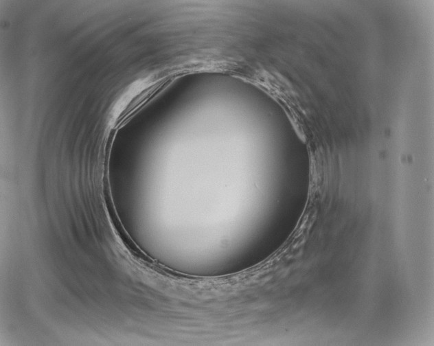 X0000066970003200603271220