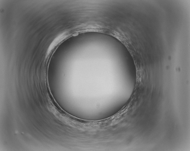 X0000066970004200603271220