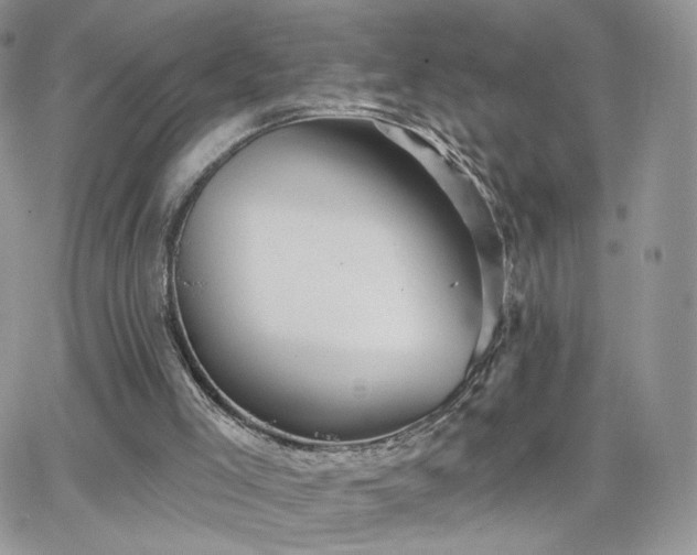 X0000066970005200603271220