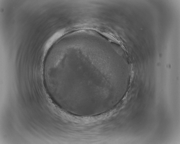 X0000066970006200603271220