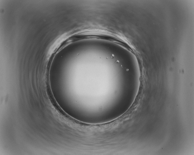 X0000066970007200603271220