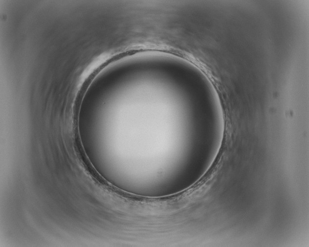 X0000066970008200603271220