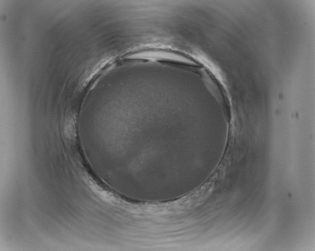 X0000066970009200603271220