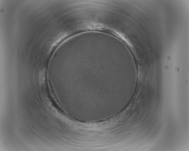 X0000066970010200603271220