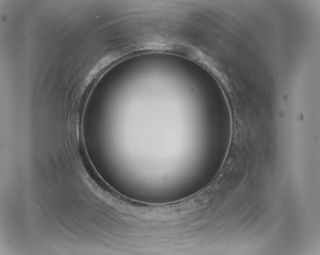 X0000066970011200603271220