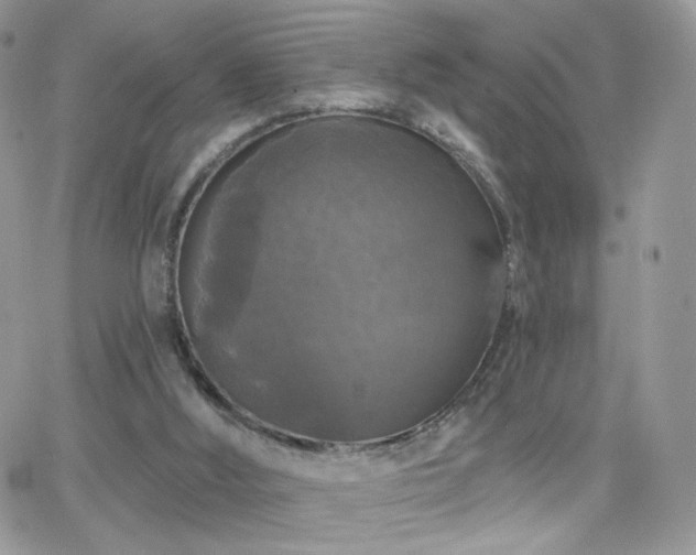 X0000066970012200603271220