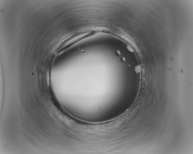 X0000066970013200603271220