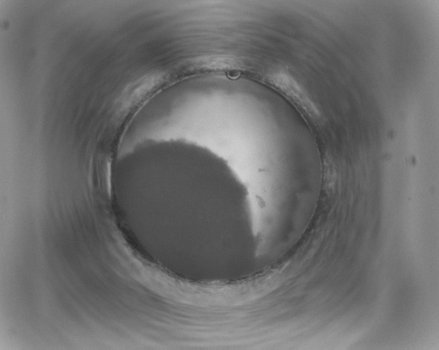 X0000066970014200603271220