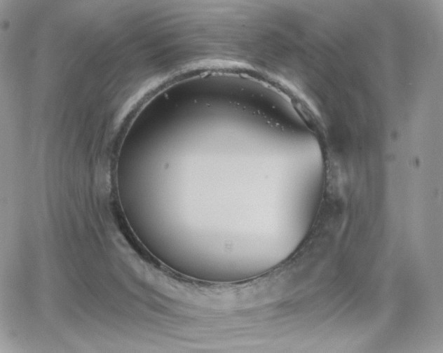 X0000066970015200603271220