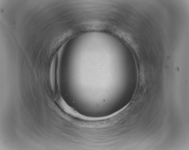 X0000066970017200603271220