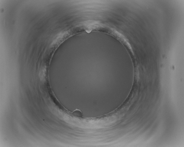 X0000066970018200603271220