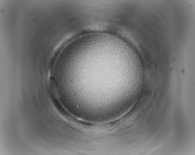 X0000066970020200603271220