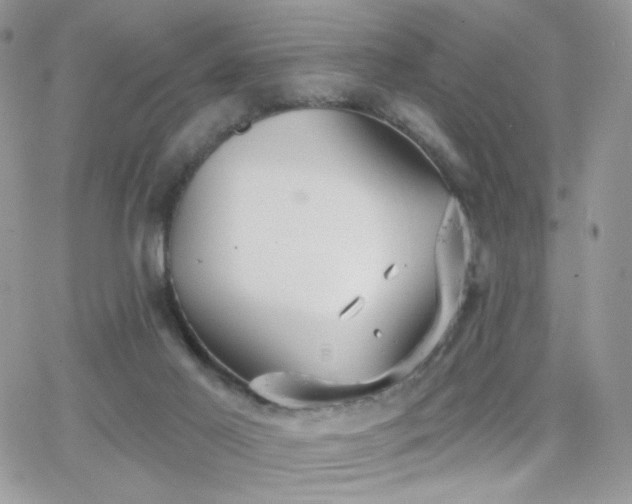 X0000066970021200603271219