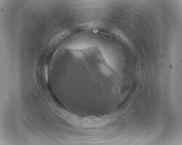 X0000066970022200603271219