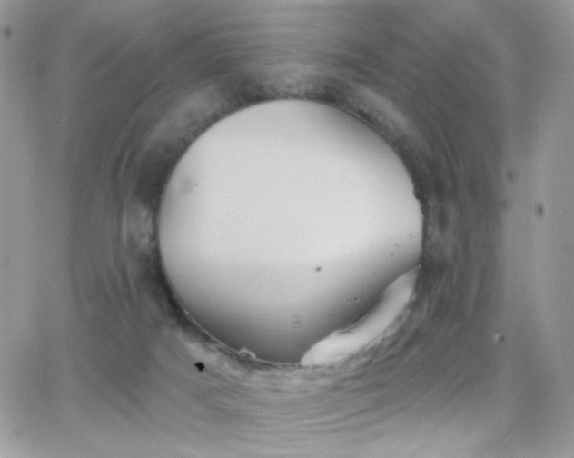 X0000066970025200603271219