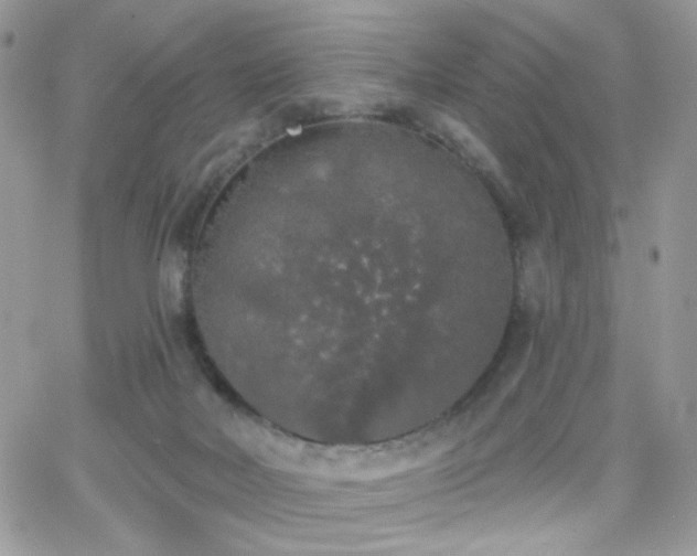 X0000066970026200603271219