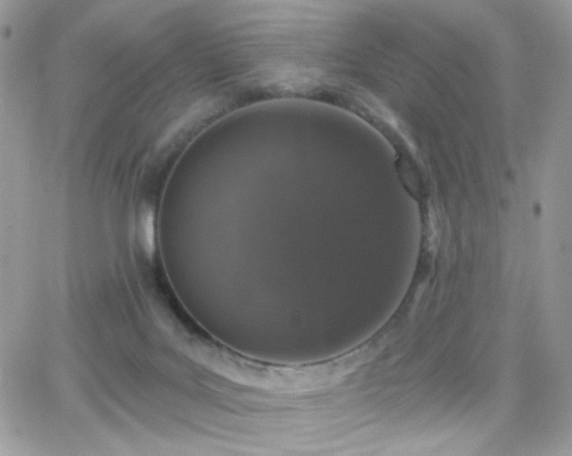 X0000066970027200603271219