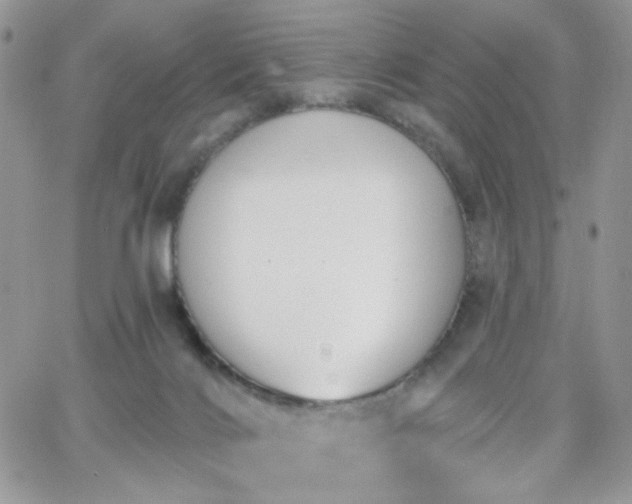 X0000066970028200603271219