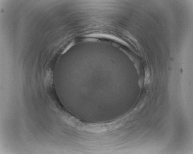 X0000066970029200603271219