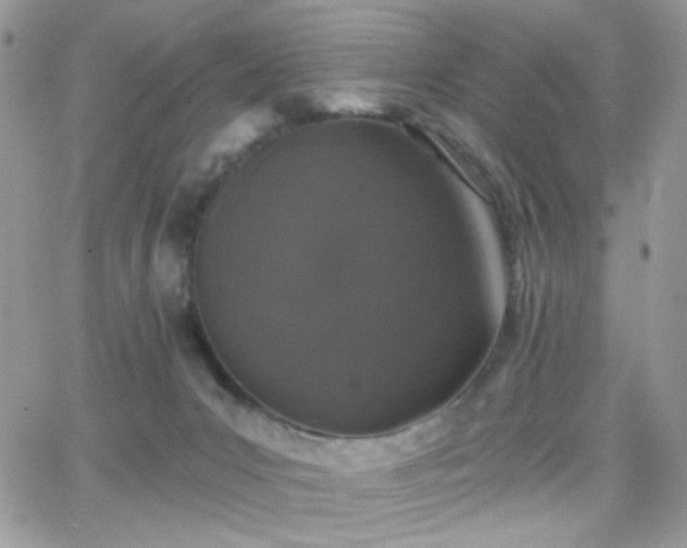 X0000066970031200603271219