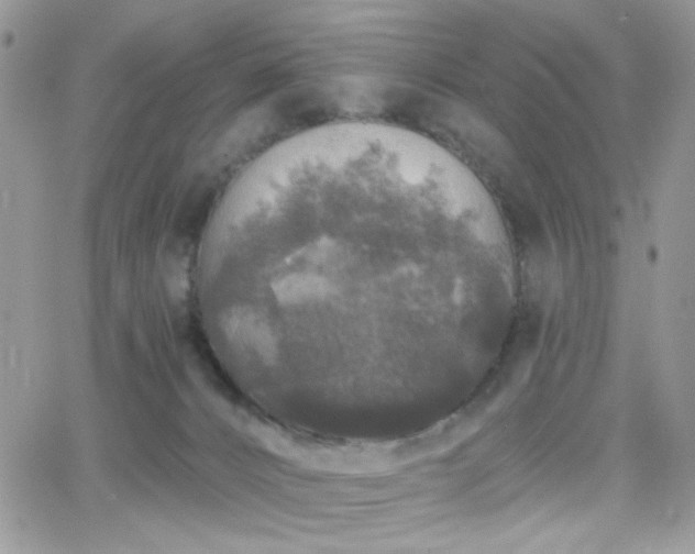 X0000066970032200603271219