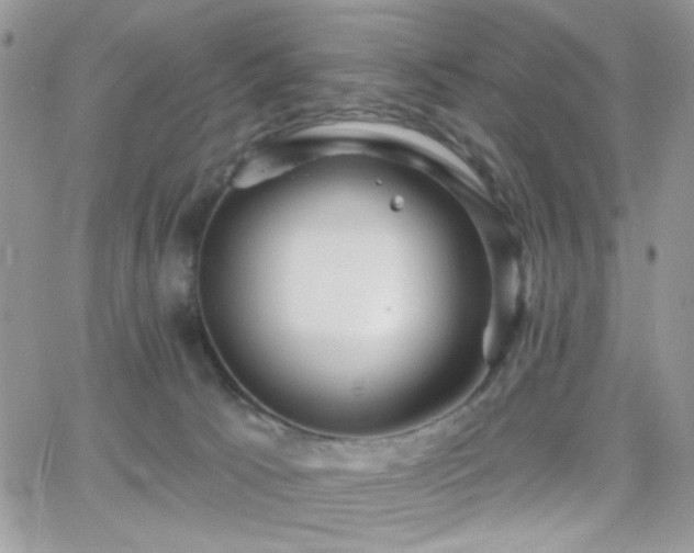 X0000066970033200603271219