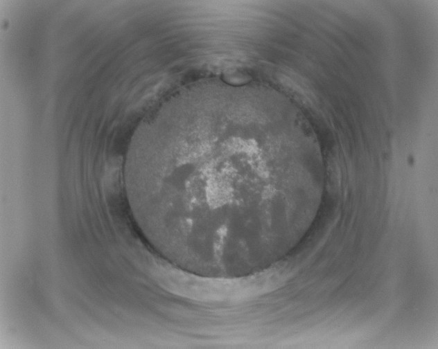 X0000066970034200603271219