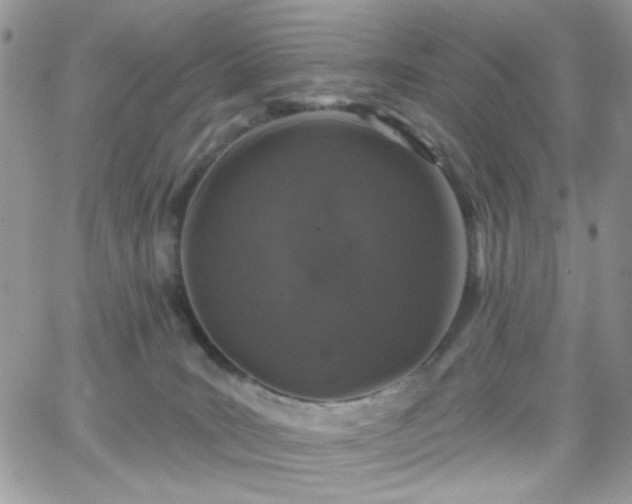 X0000066970035200603271219