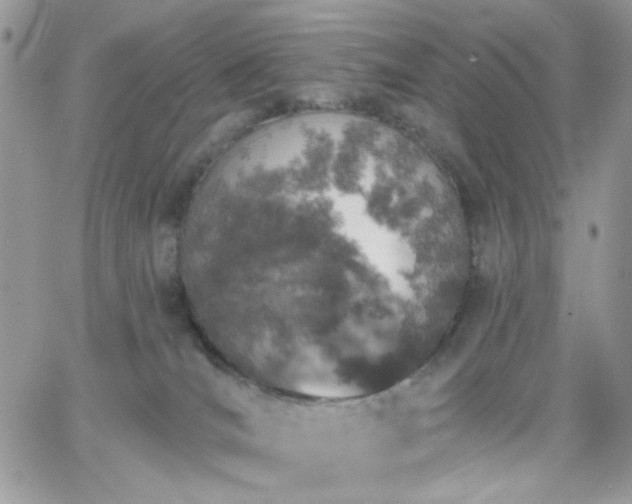 X0000066970036200603271219