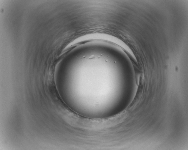 X0000066970037200603271219