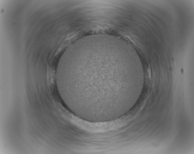 X0000066970038200603271219