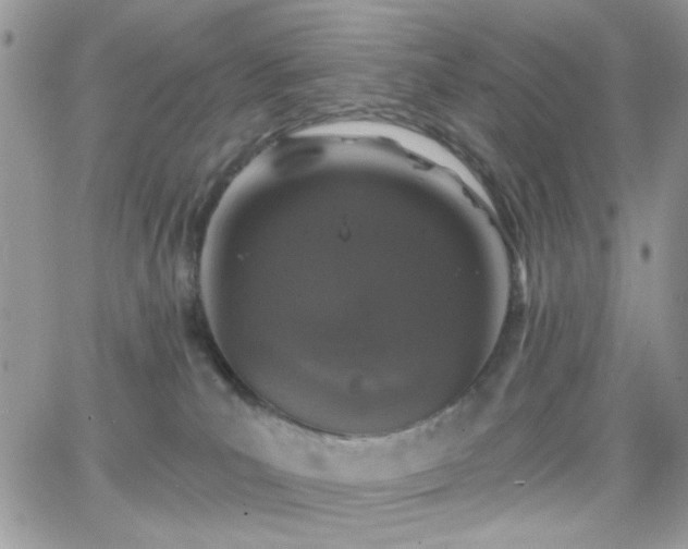 X0000066970039200603271219