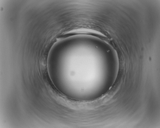 X0000066970040200603271219