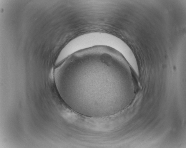 X0000066970041200603271219